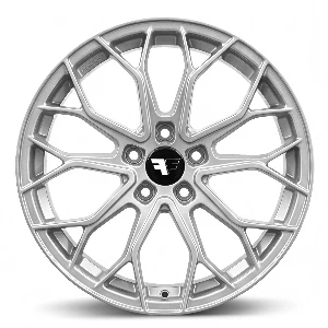 Silver Painted